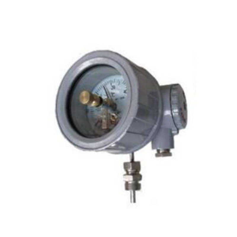 Thermometer Hubungan Elektrik Letupan Siri WSSX-B